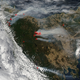 Illustration for article titled One of the Oldest Forests on Earth Has Been Burning For Weeks